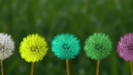 Isabelle Quissolle Sophrologie-Réflexologie Plantaire-Hypnose-Neurofeedback (NeurOptimal®), Praticien de Médecine Alternative à Mérignac