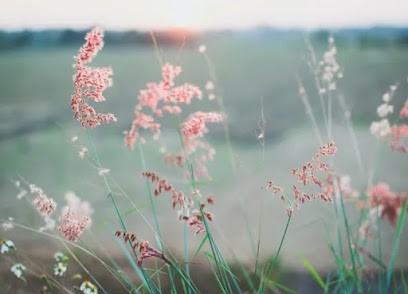 Mélaine Perrodeau - Naturopathe & Energéticienne, Praticien de Médecine Alternative à Vertou
