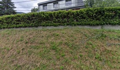 Annie Gayet, Praticien de Médecine Alternative au Touvet