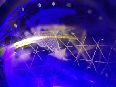 DIAMOND LIGHT - La Terre Diamant - Thérapie quantique - Géométrie sacrée, Praticien de Médecine Alternative à Réminiac