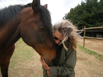 CLAIRE SHIATSU EQUIN SOMMIERES, Praticien de Médecine Alternative à Sommières