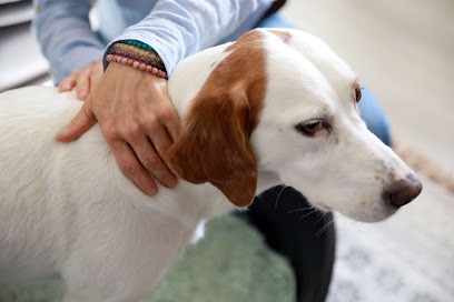 La Fée du Soin, Praticien de Médecine Alternative à Privezac