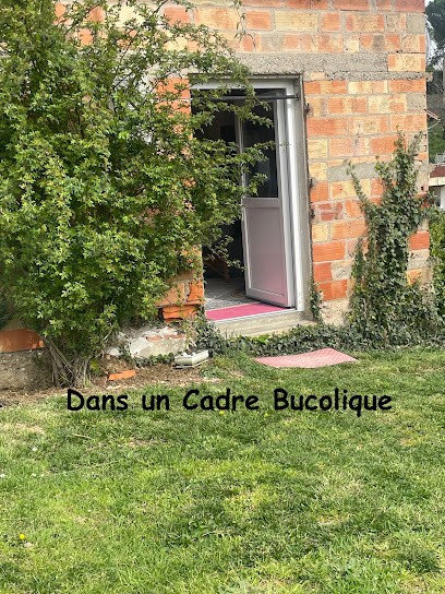 REFLEXOLOGIE PLANTAIRE THAIE - REIKI, Réflexologue à Moissac