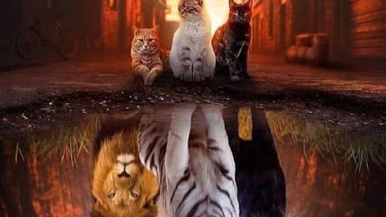 Hypnosesolutions Chantilly, J. Ferreira, Arrêt Du Tabac, Mincir, Confiance En Soi, Phobies, Hypnothérapeute à Chantilly