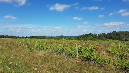 Karine Vérité, Praticien de Médecine Alternative à Naveil