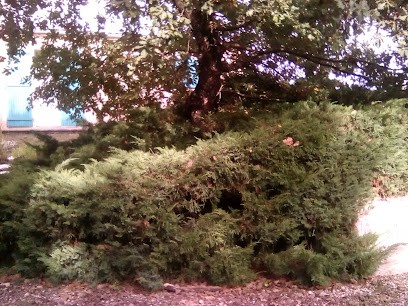 Accompagnement personnalisé - Reflexologie Plantaire-Access Bars...., Réflexologue à Fénols