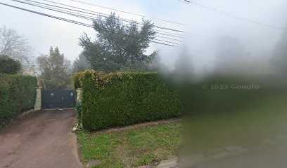 Popa Griveau Adriana, Praticien de Médecine Alternative à La Drenne