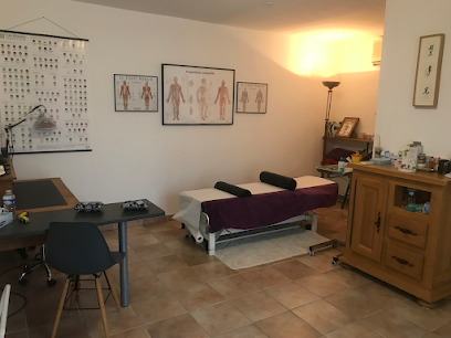 Acupuncture 82 - Eduardo Navarro, Praticien De Médecine Alternative à Lamothe-Capdeville