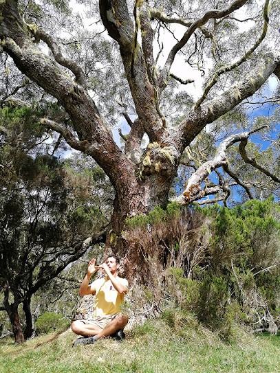 Benoit Perret Naturopathe Et énergéticien, Praticien de Médecine Alternative au Fouilloux