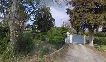 France Reflexothérapie, Réflexologue à Montastruc-la-Conseillère