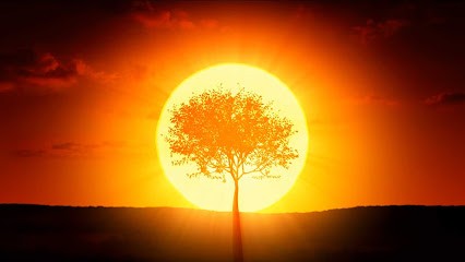 Yann Cano - thérapeute - formateur, Hypnothérapeute à Lanester