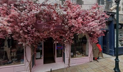 Catherine Soum, Praticien de Médecine Alternative à Dinard