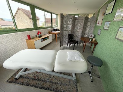 Michelle François - DSTRESS Energéticienne - Thérapie Bien-être, Praticien de Médecine Alternative à Saint-Jean-de-Trézy