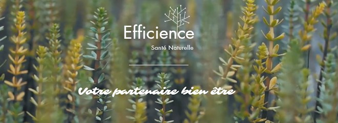 Efficience Santé Naturelle, Praticien de Médecine Alternative à Langensoultzbach