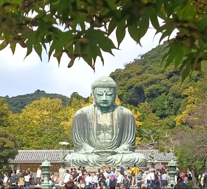 Nicolas Bonnet Naturopathe, Magnétiseur, Méditation, Conseil, Initiation, Praticien de Médecine Alternative à Lisle Sur Tarn