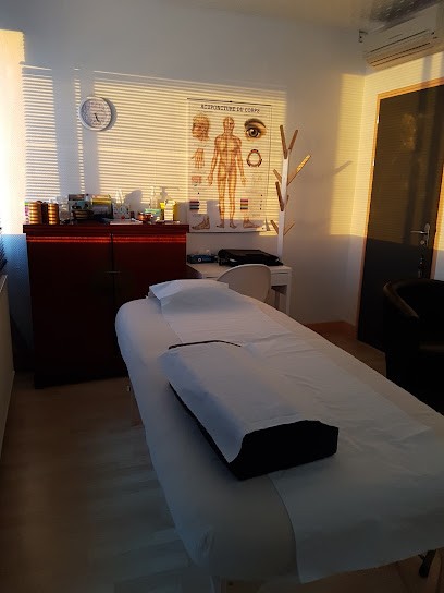 Alice HARMAND-REMY Acupuncture Traditionnelle, Praticien de Médecine Alternative à La Roche-sur-Yon