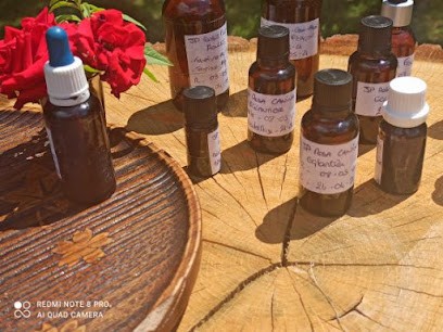 Nature&Sève, Praticien de Médecine Alternative à Saint-Symphorien