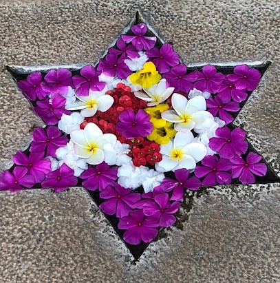 Naturopathe Clermont L'Hérault, Danielle Duchenne, Praticien de Médecine Alternative à Clermont-l'Hérault