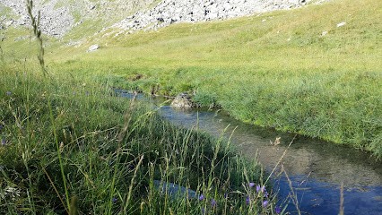 Flexopied - NOUVELOT Odile, Réflexologue à Varces-Allières-et-Risset