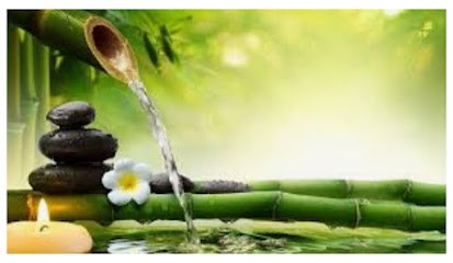 Amélie Cueff Réflexologie, Réflexologue à Saint-Philbert-de-Grand-Lieu