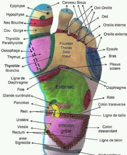 Nathalie LABEAU, Réflexologue à Saint-Rémy
