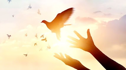 Séverine Ferrari Énergéticienne NIJI Sophrologue Masseuse Guidances-coaching, Praticien de Médecine Alternative à Pignan