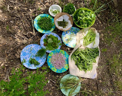 RÉMINISCENCES COULEURS ET ESSENTIELLES, Praticien de Médecine Alternative à La Londe-les-Maures