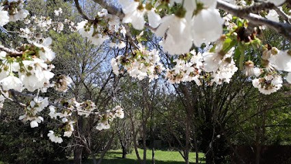 Hypnothérapie Velaux, Hypnothérapeute à Velaux