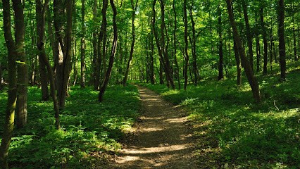 Amaury - Hypnose, Hypnothérapeute à Maisons-Laffitte