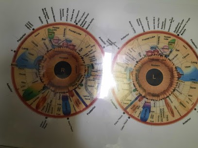 Iridologie, Réflexologue à Gap