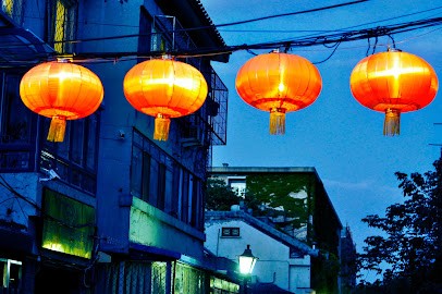 Fanny Minetti Médecine Chinoise, Praticien de Médecine Alternative à Vienne