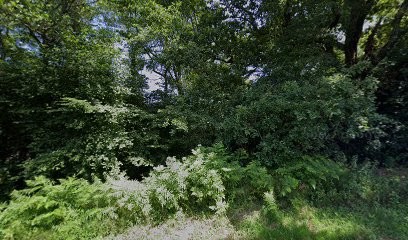 Itinéraire Shiatsu, Praticien de Médecine Alternative à Villefranque