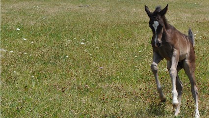 Régénere'Essence, Praticien de Médecine Alternative à Saou