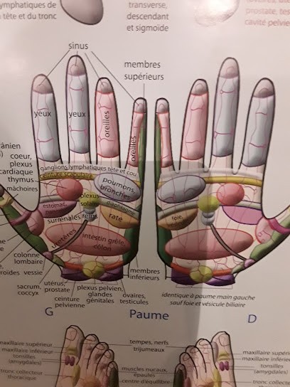 Isabelle KNOBLOCH Reflexologie plantaire, palmaire et cranio faciale, Réflexologue à Metz