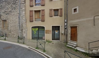 L'arbre à noèmes - Psycho-énergéticienne (visio ou cabinet), Praticien de Médecine Alternative à Mende