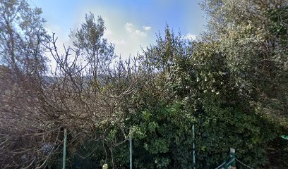 sophrologue somatothérapeute, Praticien de Médecine Alternative aux Adrets-de-l'Estérel