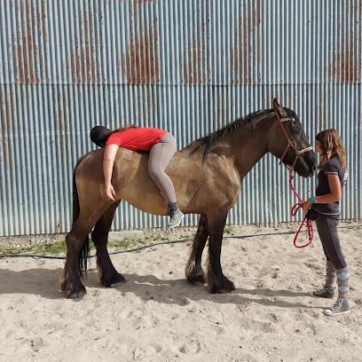 Aube E'Crins - Equithérapie, Praticien de Médecine Alternative à Vallant-Saint-Georges