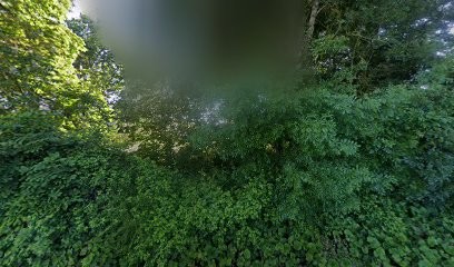 Elmaddyzen, Praticien de Médecine Alternative à Gémozac