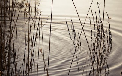 Hypnose Seloncourt / Montbeliard - Aubin Behra, Hypnothérapeute à Seloncourt