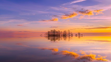 Pascale Renneteau, Praticien de Médecine Alternative à Sainte-Colombe-sur-l'Hers