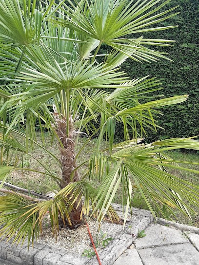 Natur'holist, Praticien de Médecine Alternative à Mions