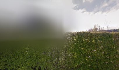 L'Être Au Diapason, Praticien de Médecine Alternative à Etaux