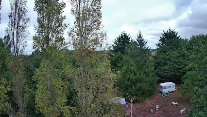 THIERRY CONTON REFLEXOLOGUE, Réflexologue à Chauvé