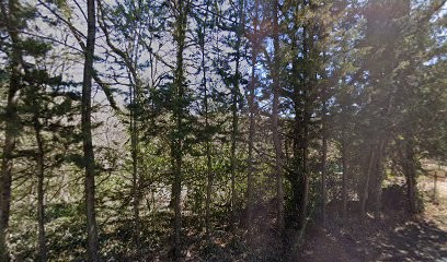 Réflexologie Plantaire-GUILHEM Christiane, Réflexologue à Montauroux