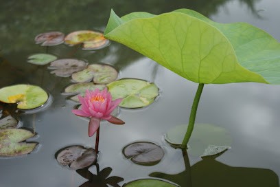 Christelle JOUIN - CJSophro - Sophrologue Diplômée La Roche-sur-Yon - Vendée - 85, Praticien de Médecine Alternative à La Roche-sur-Yon