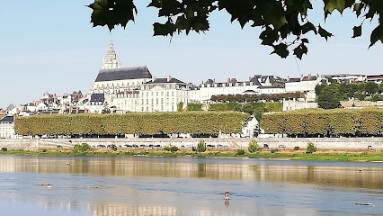 De Guglielmi Catherine, Praticien de Médecine Alternative à Yerres