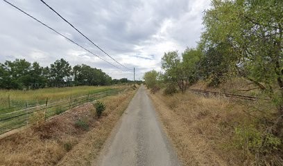 Morgane Cucak Naturopathe - Praticienne Reiki, Praticien de Médecine Alternative à Volx
