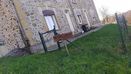 SoinEnDuo - Soins énérgétiques - Communication animale - Laëtitia et Clément, Praticien de Médecine Alternative à Thugny-Trugny