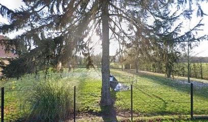 VERONIQUE LASUYE - SOPHROLOGUE - CABINET IKIGAI-VL, Praticien de Médecine Alternative à Louvil