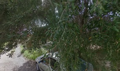 Bintou DATT - Medium - Guérisseuse, Praticien de Médecine Alternative à Penta-di-Casinca